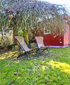 two chairs sitting in the grass under a tree at Nordlandgiebel in Rosengarten