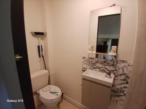a bathroom with a toilet and a sink and a mirror at studio coralie in Saint-Flour