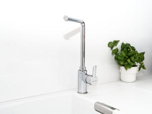 a bathroom sink with a faucet and a plant at Altstadt Geverdes 2 in Lübeck +47 photos