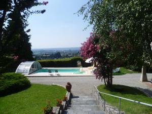 The swimming pool at or close to Il Colombé B&B