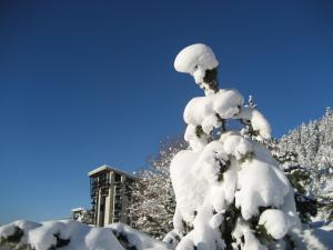 Gallery image of Résidences Kandahar in Crans-Montana