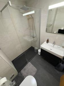 a bathroom with a shower and a toilet and a sink at Appartement Nendaz, bâtiment Diana in Nendaz +14 photos