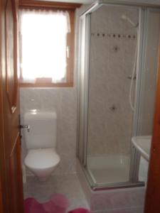 ザース・グルントにあるApartments Sarazenaのバスルーム(トイレ、シャワー付)