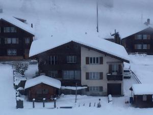 budynek ze śniegiem na górze w obiekcie Chalet Wildbach w mieście Adelboden