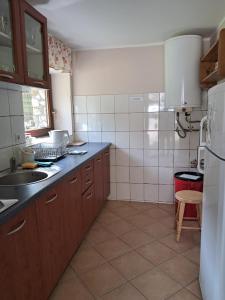 a kitchen with a sink and a refrigerator at Dom w Kwiatach in Ojców +6 photos