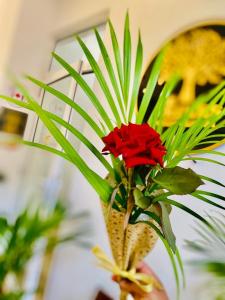 a red flower in a vase with a plant at Wellness Residency in Colombo