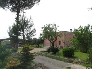 a garden with trees and a house in the background at Villa Rita Bed & Breakfast in Campi Salentina +5 photos