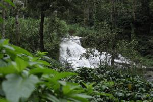 a waterfall in the middle of a forest at Colonial canopy in Suntikoppa