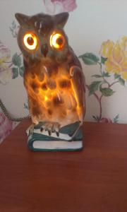 an owl statue sitting on top of a book at Apartment Horkoho 7A in Shostka