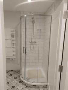 a shower with a glass enclosure in a bathroom at Village Centre Haven in Clifden
