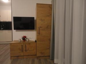 Televízia a/alebo spoločenská miestnosť v ubytovaní Appartement Pürstinger