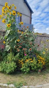 a bunch of sunflowers in front of a building at Le Clos du Perche in Boissy-lès-Perche
