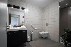 a bathroom with a toilet and a sink and a mirror at Appart' du Trident in Mulhouse +29 photos