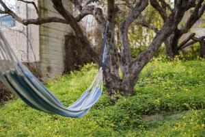 a blue hammock in front of a tree at Dia View Retreat in Elaía +62 photos