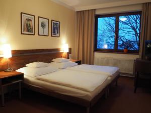 Postel nebo postele na pokoji v ubytování Hotel Cvilín