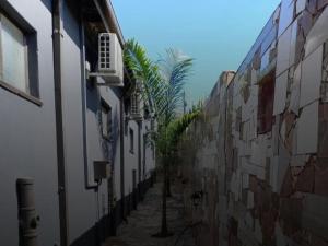 a narrow alley with buildings and a palm tree at Royal Lodge in Sibasa
