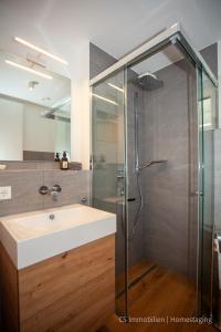 a bathroom with a sink and a shower at Seensucht in Bodman-Ludwigshafen