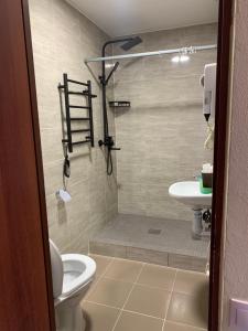 a bathroom with a shower and a toilet and a sink at Apartments House Pylypets in Pilipets +28 photos