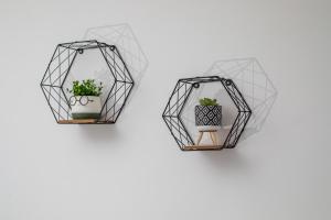 two metal hexagonal greenhouse planters with a plant at Kallithea living in Koskinou +26 photos