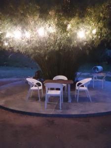 a group of tables and chairs sitting under a tree at George Bungloaw in Henegama
