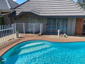 a dog sitting in front of a house with a swimming pool at Caledon Overnight Rooms in Kimberley