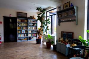 a living room with a book shelf and some plants at Pensiunea Aurelia in Şiria