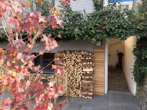 Fotografie z fotogalerie ubytování Gerda Wellness Apartment v destinaci Grinzens