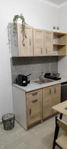 a kitchen with wooden cabinets and a sink at abpikermistudios3 in Pikérmion