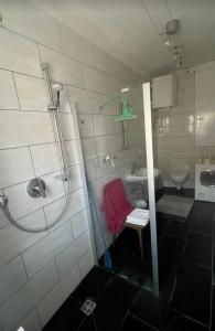 a bathroom with a shower and a sink at Gästehaus Weinwurm in Obritz