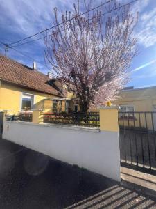 a white fence with a tree in front of a house at Studio cosy avec parking, tram direct Strasbourg 7 min in Illkirch-Graffenstaden