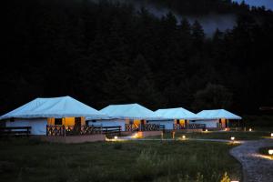a row of tents in a field at night at Haa Valley Camp in Kechungka