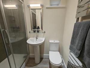 a bathroom with a toilet and a shower and a sink at 1 Bed in Hexham oc-g37537 in Hexham