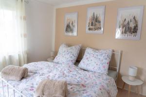 a bedroom with a bed and pillows on it at Elfriedes' Ferienhäuschen in Marktschorgast