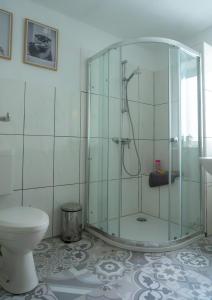 a bathroom with a glass shower with a toilet at Elfriedes' Ferienhäuschen in Marktschorgast