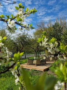 a wooden path with chairs and trees in a park at Domy w ogrodzie - Riverfront cabins in Poznań