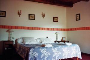 a bedroom with a bed with a blue and white blanket at Hôtel du Château de Cabrières in Saint-Jean-du-Gard