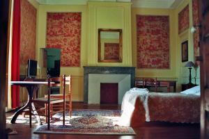 a living room with a bed and a fireplace at Hôtel du Château de Cabrières in Saint-Jean-du-Gard