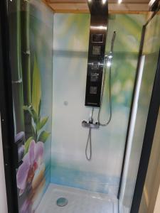 a shower with a phone and a painting on the wall at Gite et Studio "L'éclosion des Papillons" à 10 kms de Lens in Courrières +90 photos