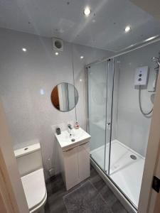a bathroom with a shower and a toilet and a sink at The Stags Den in Longton