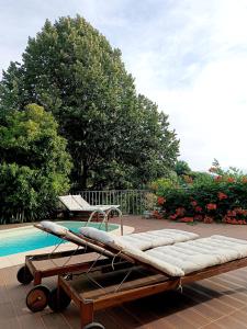 a couple of beds sitting next to a swimming pool at Casa do Romezal in Peso da Régua