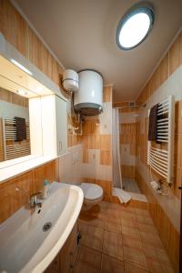 a bathroom with a sink and a toilet and a mirror at Penzion U Holuba in Hradčovice +93 photos