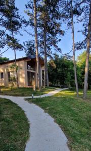 a path in front of a house with trees at Pinja gozdne hiške in Črniče