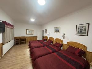 a row of four beds in a room at The Dharma Lodge in Enfield