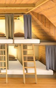 a bunk bed in a room with a ladder and bunk beds at Hostel Feldkirch in Feldkirch +35 photos