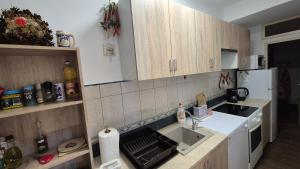 a kitchen with a sink and a counter top at Apartment Capt Seferovic in Donji Morinj