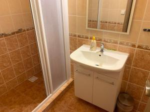 a bathroom with a sink and a shower at Apartmány Vinařství Tesařík in Prušánky