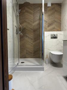 a bathroom with a shower and a toilet at Pokoje agroturystyczne U Hani in Ostrzyce +37 photos