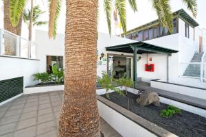 a palm tree in front of a building at BLUESEA Playa Club in Puerto del Carmen