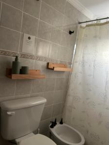 a bathroom with a toilet and a shower curtain at Adonai, departamentos in El Bolsón +8 photos