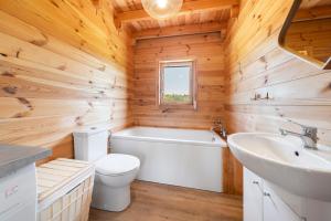 a bathroom with a white toilet and a sink at Dom nad Ińskiem in Scienne